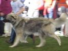 DSC04325