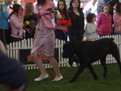 DSC04328