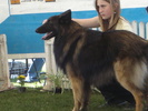 DSC04333