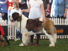 DSC04336