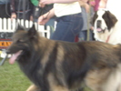 DSC04339