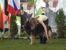 DSC04340