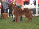 DSC04341