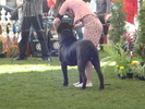 DSC04345