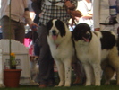 DSC04347