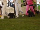 DSC04349