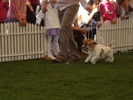 DSC04351