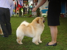 DSC04353