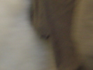 DSC04357