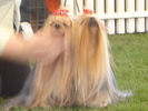 DSC04358