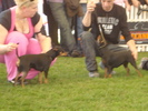DSC04360