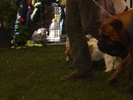 DSC04361