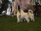 DSC04362