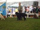 DSC04383
