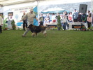 DSC04387