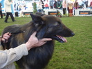 DSC04390