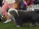 DSC04394