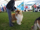 DSC04396