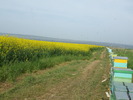 DSCF2379