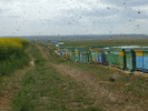 DSCF2398