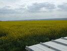 DSCF2394