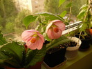 7 mai 2010