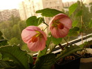 P1250930