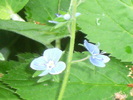 9 mai 2010 035