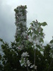 9 mai 2010 054