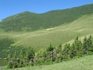 mioare_coborand_la_apa_de_pe_bocarna_840