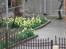 DSCN5128