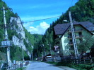 DSCN5195