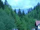 DSCN5233