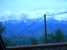 DSCN5265
