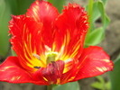 14428187_TJKBKGRYS[1]