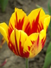 14428212_UFXSVMQDZ[1]