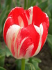 14428219_VLFWYLBHV[1]