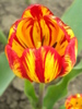 14428237_VEOHSMGTJ[1]