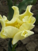 14428258_LZXFFUGHO[1]