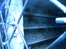 DSCN5534
