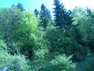 DSCN5201
