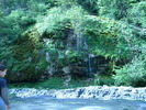 DSCN5213