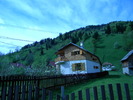 DSCN5229