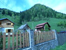 DSCN5231