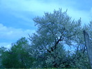 DSCN5261