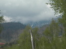DSCN5270