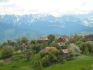 DSCN5314