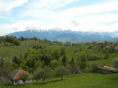 DSCN5317