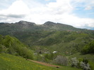 DSCN5318