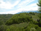 DSCN5319